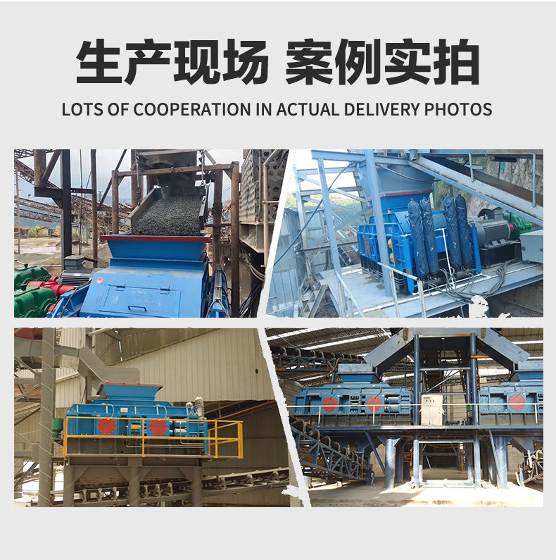 化工焦對輥破碎機(jī)